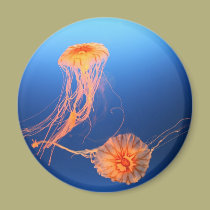Floating Together magnets by kattydown Floating Together magnets