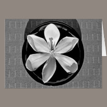 Floating Tulip BW cards