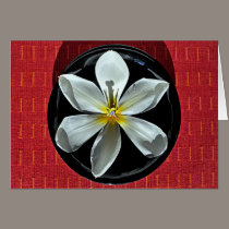 Floating Tulip cards