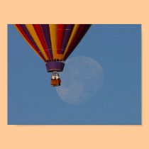 Floating View posters