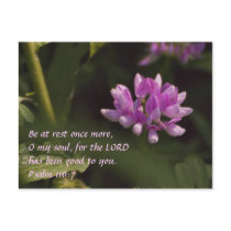 Floating Wildflower Postcards