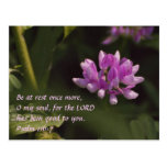 Floating Wildflower Postcards