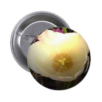 Floating World buttons