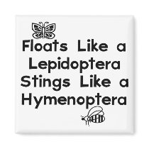 Floats Lepidoptera Fridge Magnets