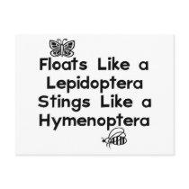 Floats Lepidoptera Post Cards