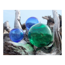 Floats on Driftwood posters by deegolden Floats on Driftwood posters