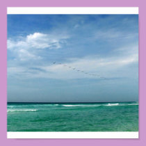 Flock in Flight - Destin, Florida posters