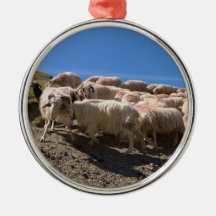 Flock of Basco Bearnaise Sheep at Arbaze Mountain Christmas Tree Ornament