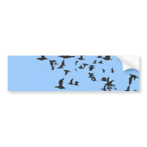 Flock of Birds Bumper Sticker