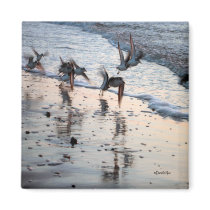 Flock of Birds Magnet