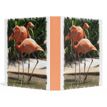 Flock of Flamingos Binder