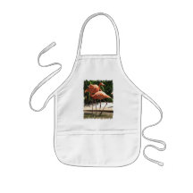 Flock of Flamingos Children's Smock Apron