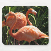 Flock of Flamingos Mouse Pad