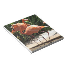 Flock of Flamingos Notebook Scratch Pads