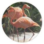 Flock of Flamingos Plate