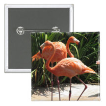 Flock of Flamingos Square Pin