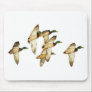 Flock of Mallards in Flights- Ducks