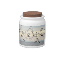 Flock of Seagulls Photo Candy Dish