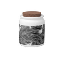 Flock of seagulls standing on florida beach candy dishes