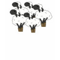 Flock of Sheep t-shirts by Loud_G Flock of Sheep t-shirts