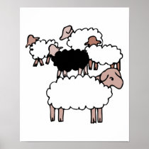 flock of sheep with black sheep posters