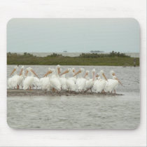 Flock of white pelicans. mousepads