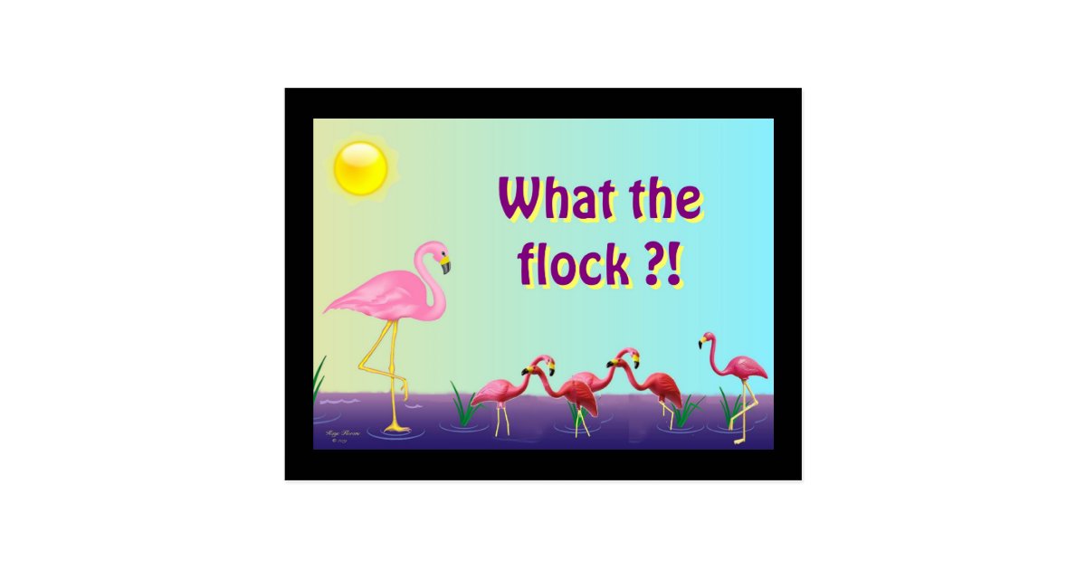 Flock Off Postcard Zazzle