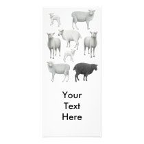 Flock with Black Sheep Rack Card rack cards by twopurringcats Flock with Black Sheep Rack Card rack cards