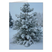 Flocked Tree Winter Card