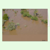 Flooded area cards