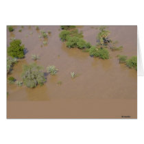 Flooded area cards by CrisIsaac Flooded area cards