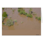 Flooded area cards
