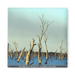 Flooded River Murray for irrigation, Australia Refrigerator Magnets