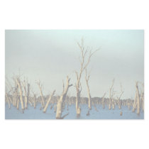 Flooded River Murray for irrigation, Australia Stationery