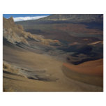 Floor of the Haleakala Crater, Maui, Hawaii, U.S.A flyers