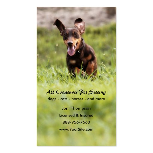 Floppy Dachshund Business Card (front side)