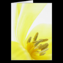Flor amarilla tarjetas