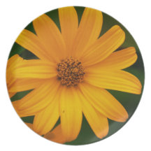 Flor amarilla platos para fiestas