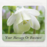 Flor blanca de Columbine - Aquilegia Tapetes De Ratones