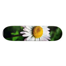 Flor blanca de la margarita patín personalizado