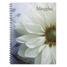 flor blanca en el cuaderno de la música