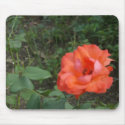 Flor Bonnita mousepads