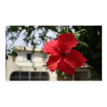 Flor Business Card Templates