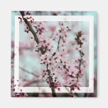Flor de cerezo hermosa de la primavera imanes para frigoríficos