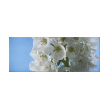 Flor de la primavera impresiones en lienzo estiradas