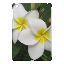 Flor del Plumeria