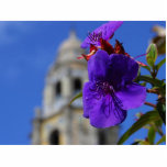 Flor en parque del balboa esculturas fotográficas