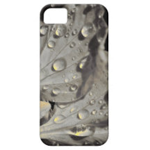 Flor gris y amarilla iPhone 5 protector