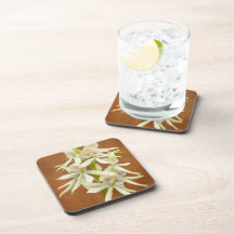 Flor - orquídea - un regalo para usted posavasos de bebidas
