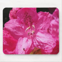 Flor rosada alfombrillas de ratones